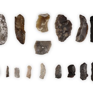 Prehistoric Flints and Lithics
